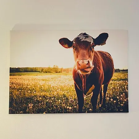 Altstadt Glockenhof Hotel Eltville am Rhein