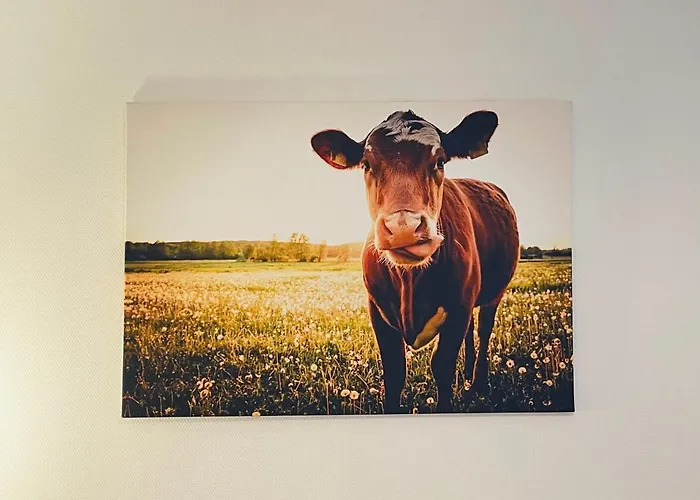 Altstadt Glockenhof Hotel Eltville am Rhein